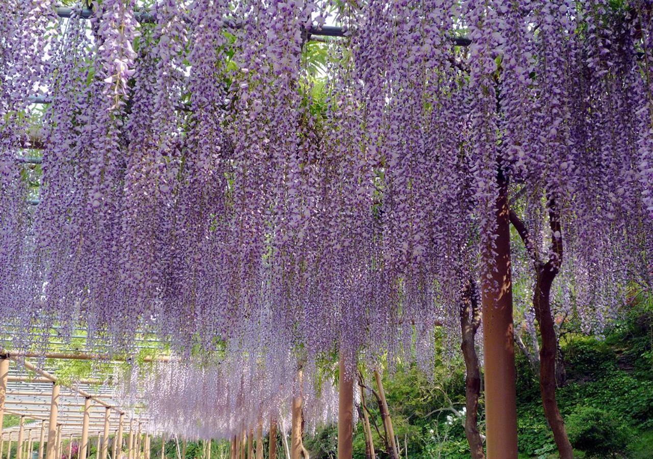 Hotel Wellseason Hamanako Hamamatsu Luaran gambar